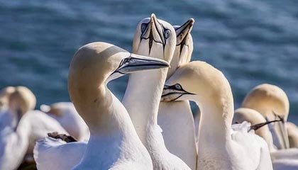 星空体育中国-比赛中的心理调节术：抗压能力提升指南，比赛心理调节方法